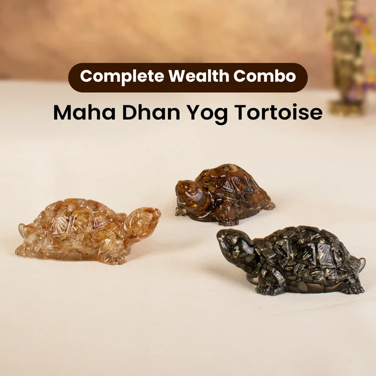 Maha Dhan Yog Crystal Tortoise Wealth Combo