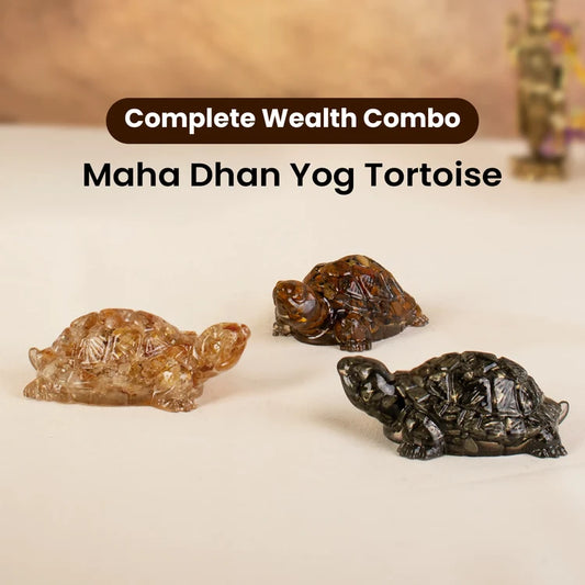 Maha Dhan Yog Crystal Tortoise Wealth Combo