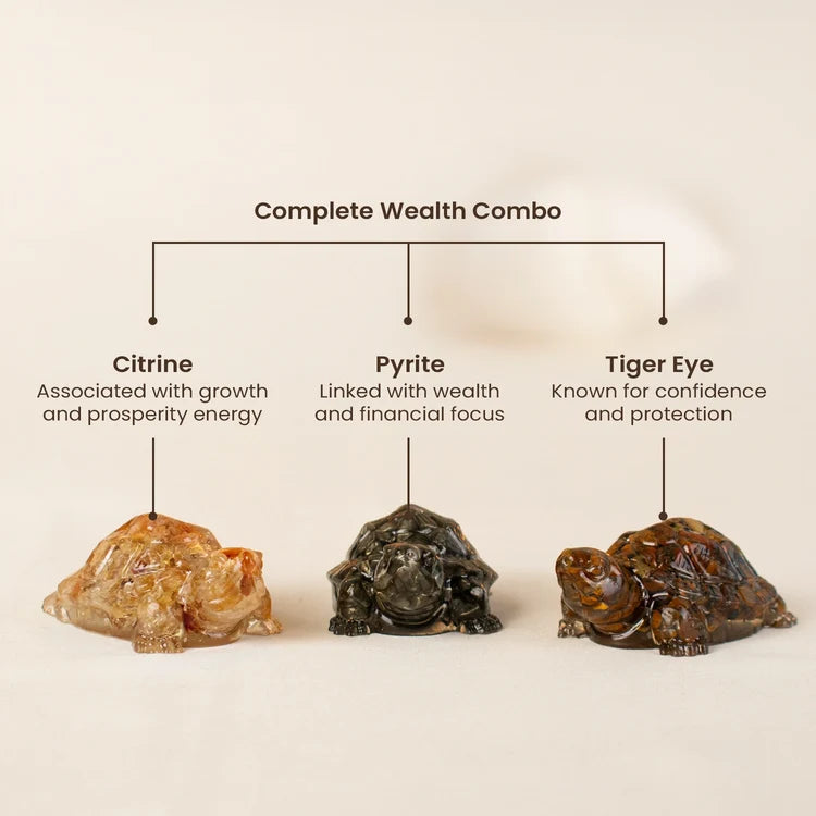 Maha Dhan Yog Crystal Tortoise Wealth Combo