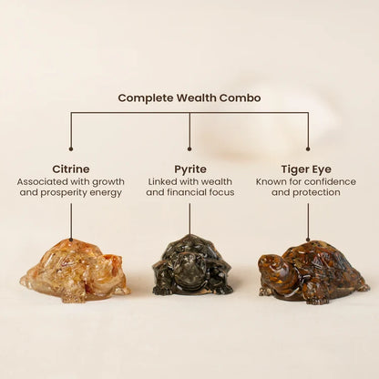 Maha Dhan Yog Crystal Tortoise Wealth Combo