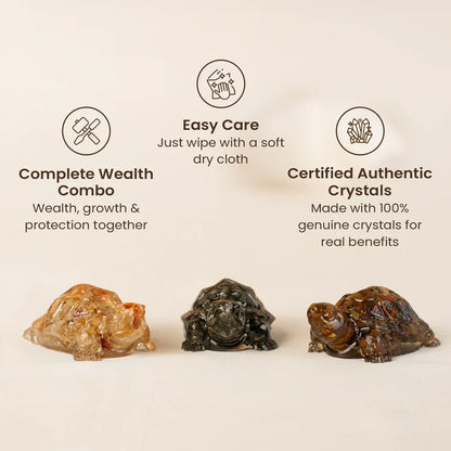 Maha Dhan Yog Crystal Tortoise Wealth Combo