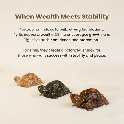 Maha Dhan Yog Crystal Tortoise Wealth Combo