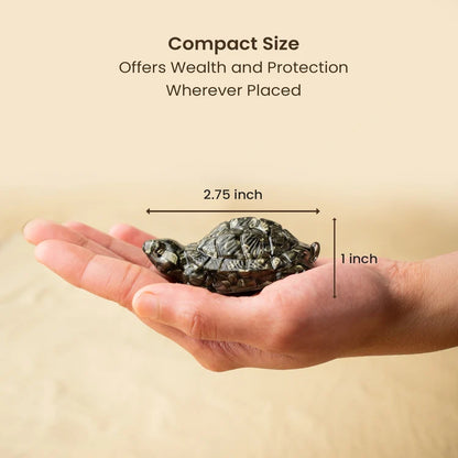 Maha Dhan Yog Crystal Tortoise Wealth Combo