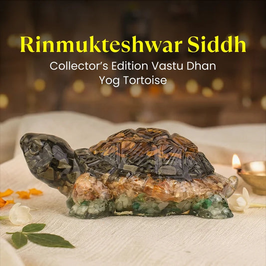 Rinmukteshwar Siddh Vastu Dhan Yog Tortoise
